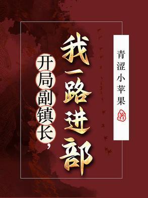 开局副镇长：我一路进部封面